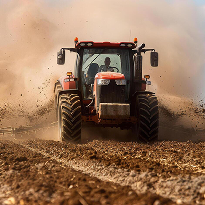 The Importance of Quality Seeds: A Foundation for Agricultural Success in Nigeria